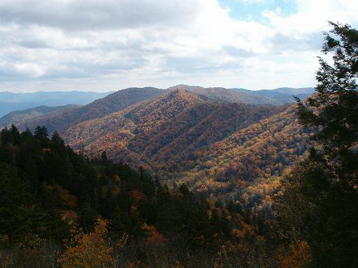 Newfound Gap