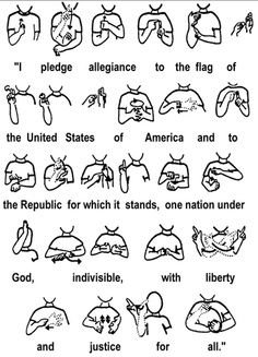 Pledge Allegiance