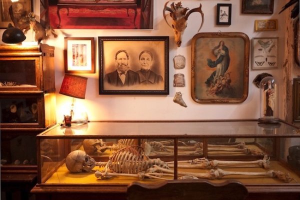 Morbid Anatomy Museum