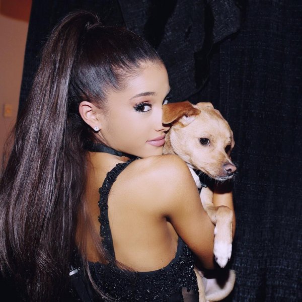 Ariana Grande & Toulouse