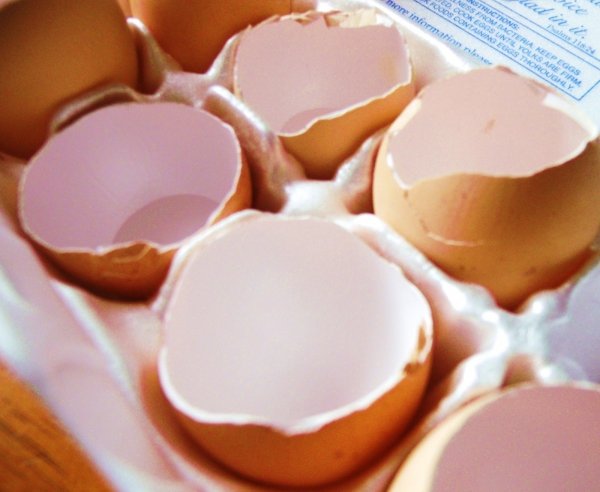 Eggshells