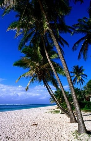 Tiwi Beach, Kenya