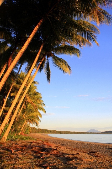 Four Mile Beach, Port Douglas