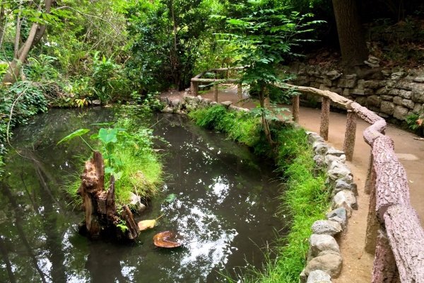 Ferndell Nature Center