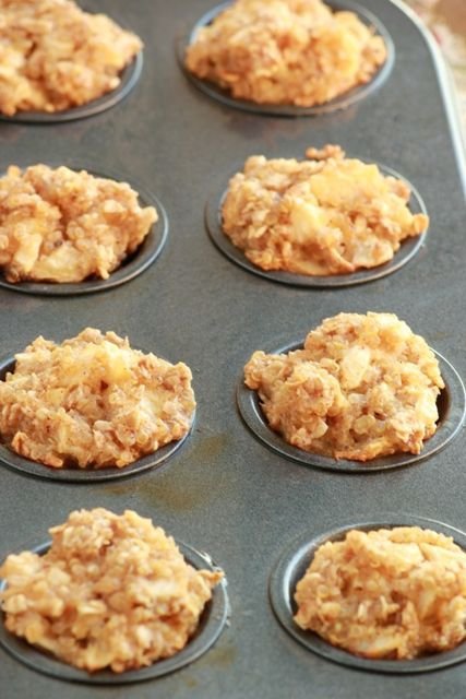 Apple Cinnamon Quinoa Bites