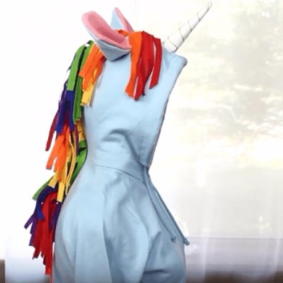 A Hoodie is the Perfect Substitute for Unicorn Hair