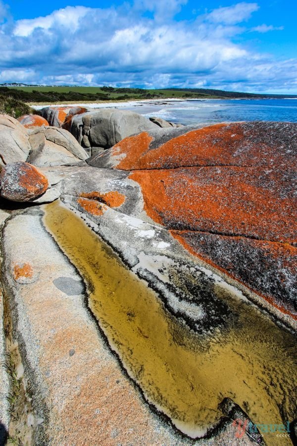 The Bay of Fires, Tasmania