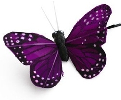 Lovely Butterfly Hair Clip