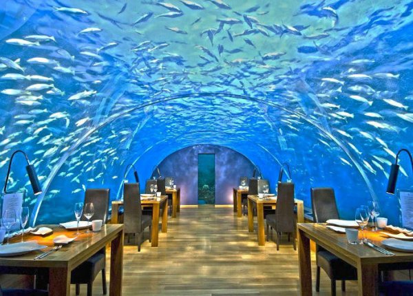 Ithaa Undersea Restaurant - Rangali Island, Maldives