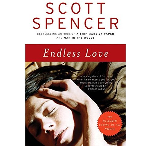 Endless Love by Scott Spencer