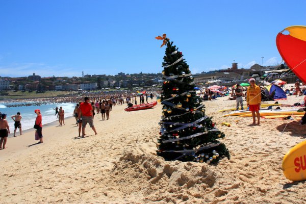 Have a Beach Picnic in Sydney, Australia