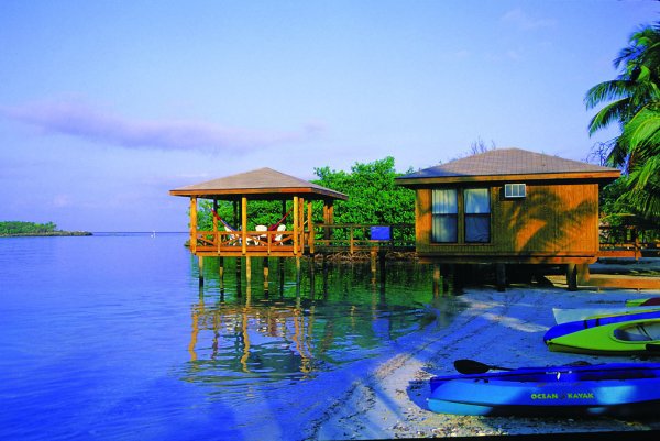 Waving at Dolphins from Roatan, Anthony's Key, Honduras