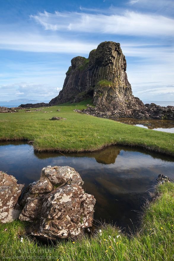 nature,rock,geographical feature,tree,coast,