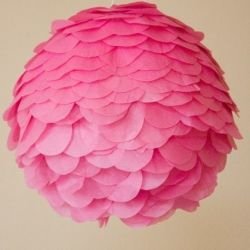 Pink Ball