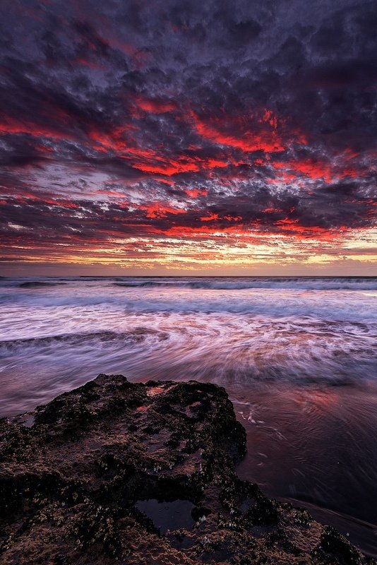 Kariotahi Beach