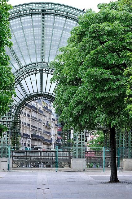 tree,urban area,city,neighbourhood,architecture,