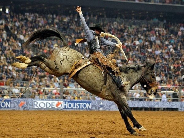 Go Rodeo!