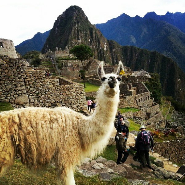 Machu Picchu, Peru