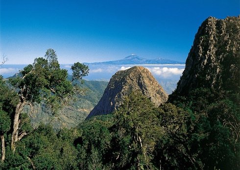 Garajonay National Park, Canary Islands