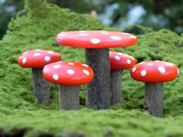 Mushroom Stools