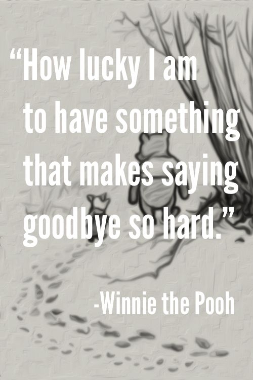 Winnie the Pooh