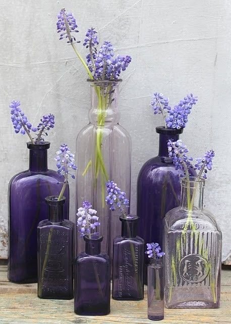 Purple Vases