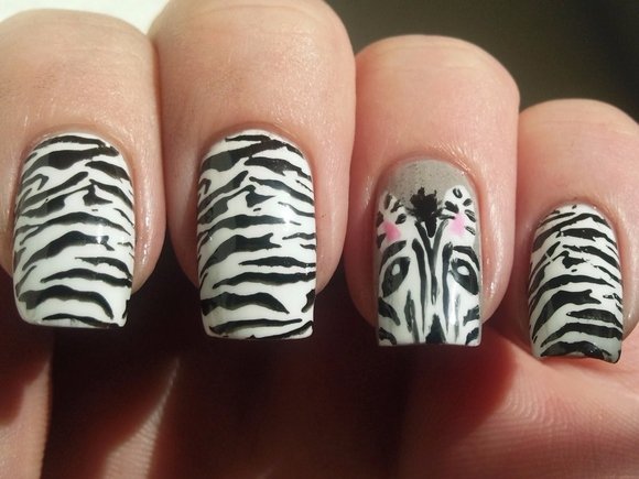 Fantastic Zebra