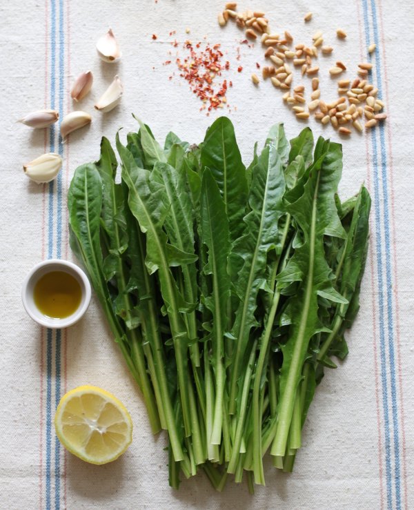 Dandelion Greens