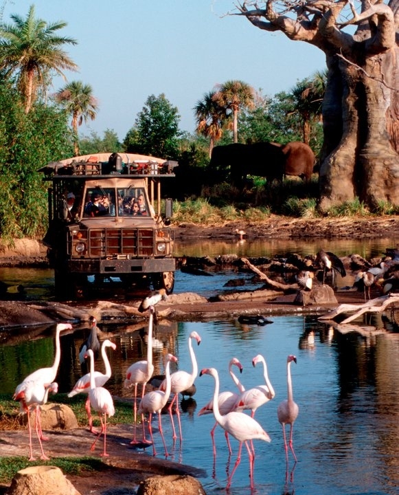 Disney's Animal Kingdom, Orlando, USA