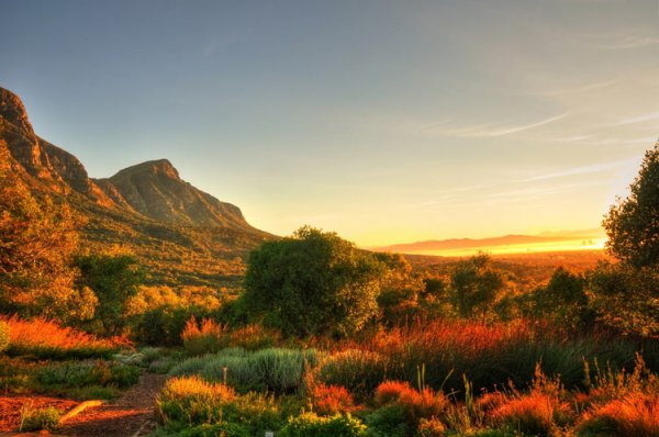 Kirstenbosch Botanical Garden, South Africa