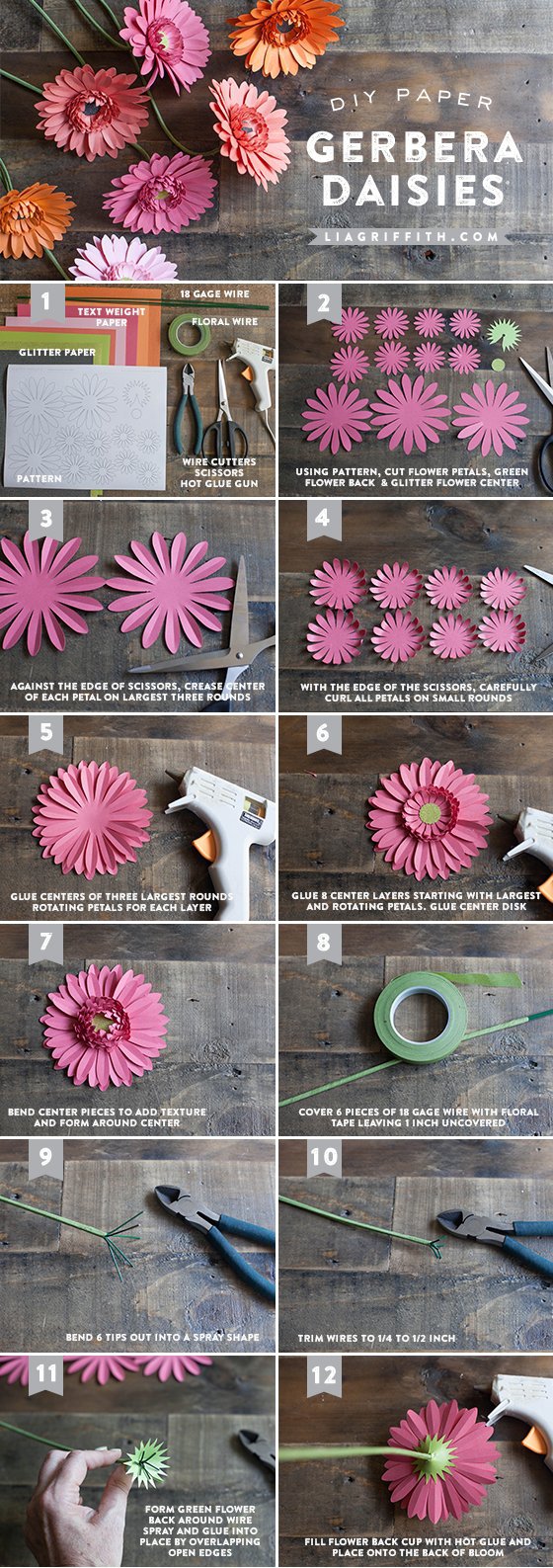 Paper Gerbera Daisies