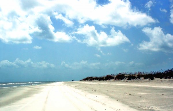 Prospecting for Dollars at Cumberland Island National Seashore, Georgia