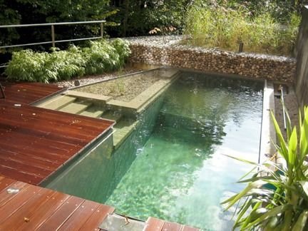 Eco-Friendly Natural Swimming Pool