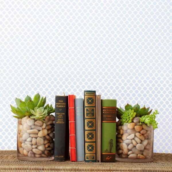 DIY Succulent Bookend