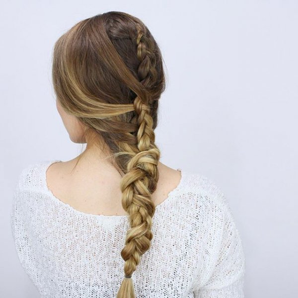 hair, hairstyle, long hair, blond, braid,