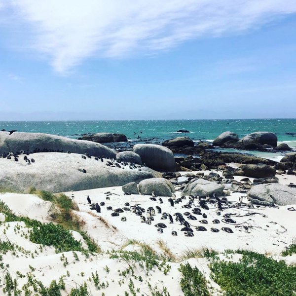 Coast, Sea, Ocean, Shore, Coastal and oceanic landforms,