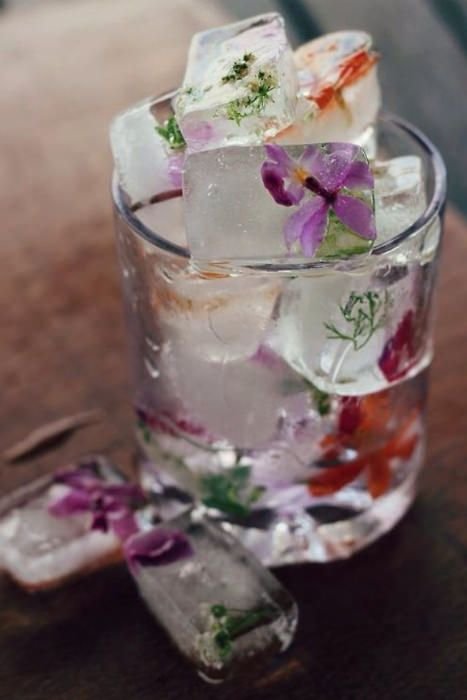 Edible Flower Ice Cubes