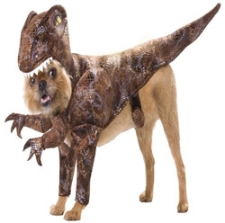 T-Rex Dog Costumes