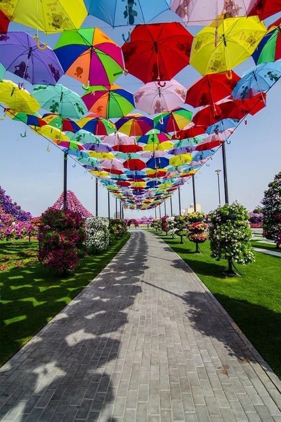 The Dubai Miracle Garden
