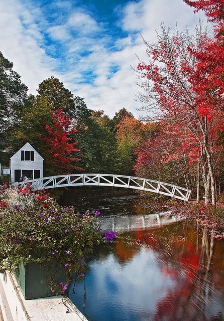 Arched Bridge