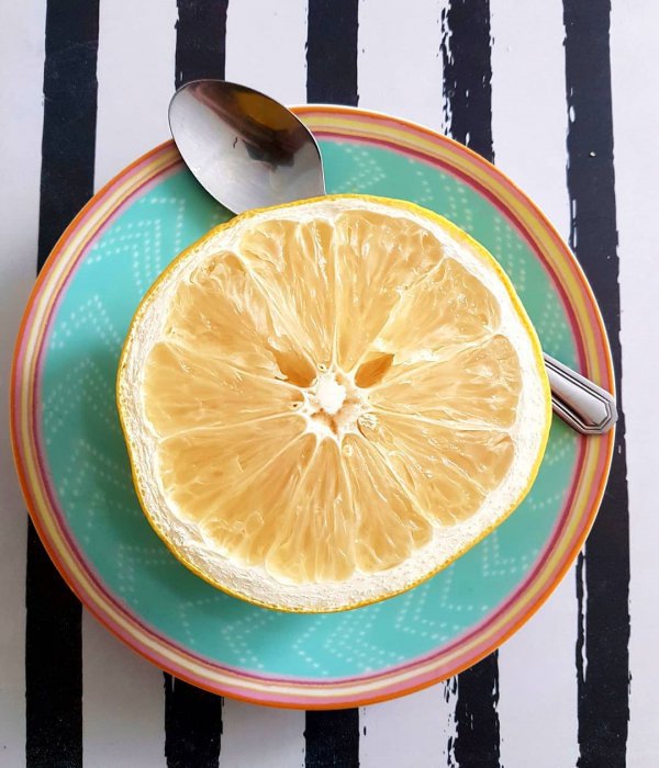 food, dish, produce, citrus, lemon,