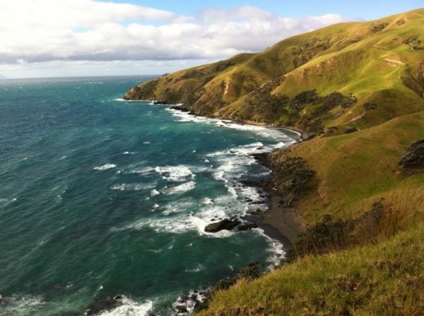 Coromandel Coastal Walkway