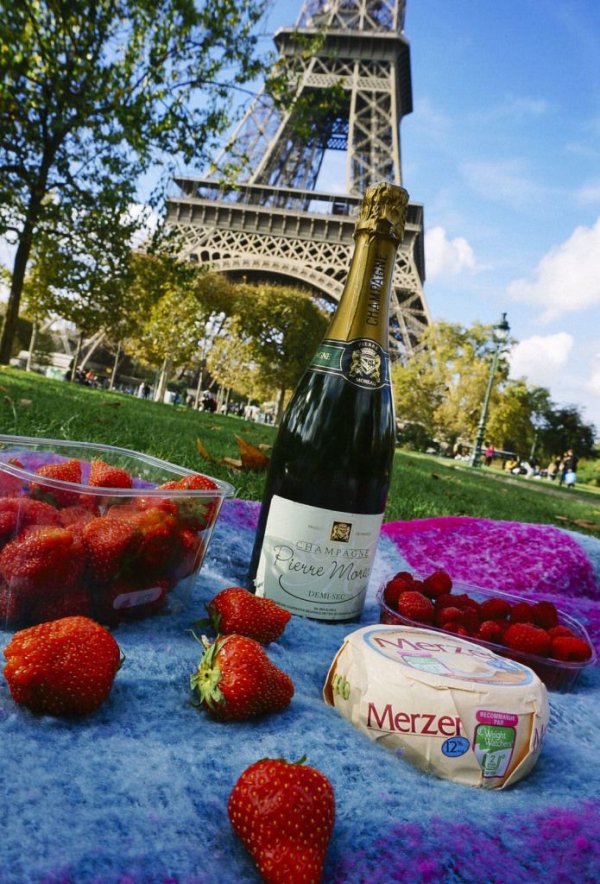 Perfect Picnic in Paris