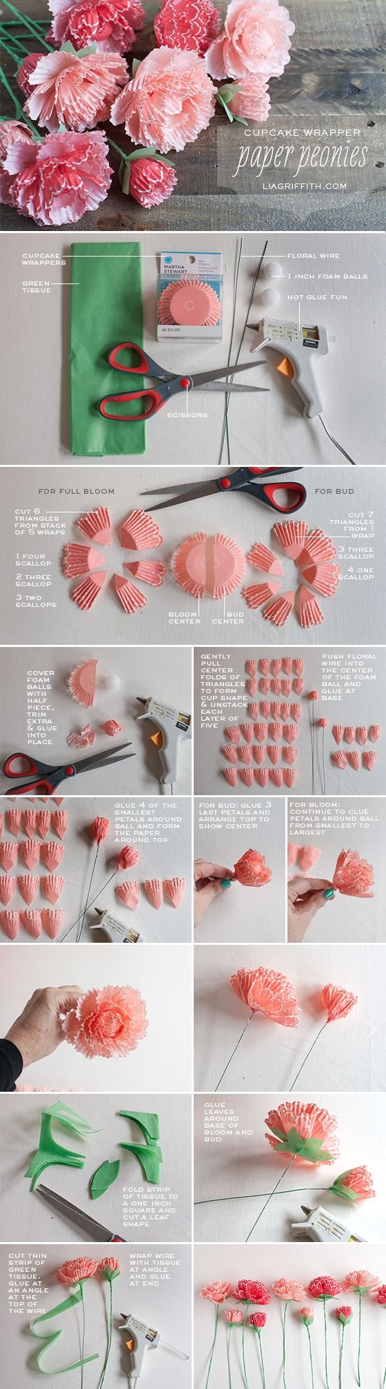 Cupcake Wrapper Peonies