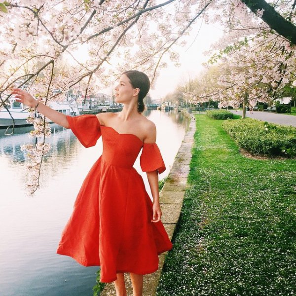 flower, red, dress, pink, gown,