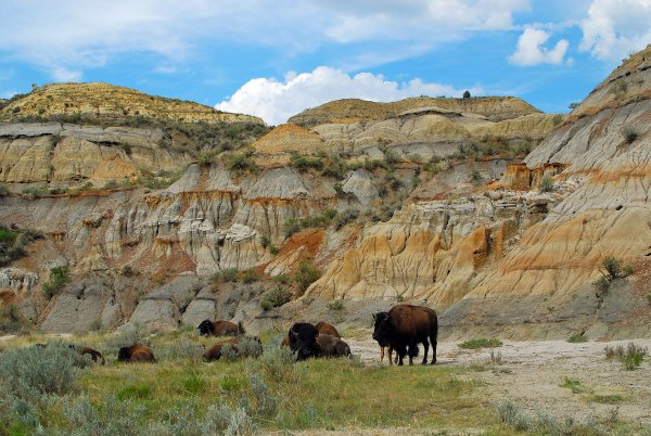 North Dakota