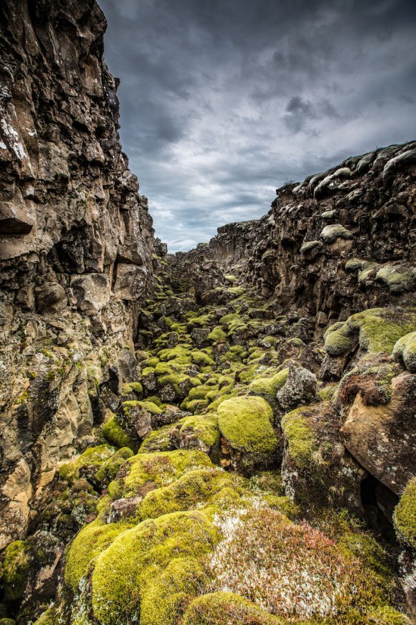 nature,mountainous landforms,rock,landform,wilderness,