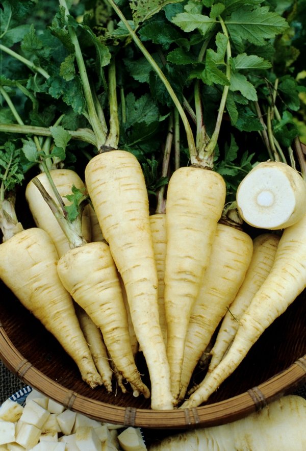 Parsnips