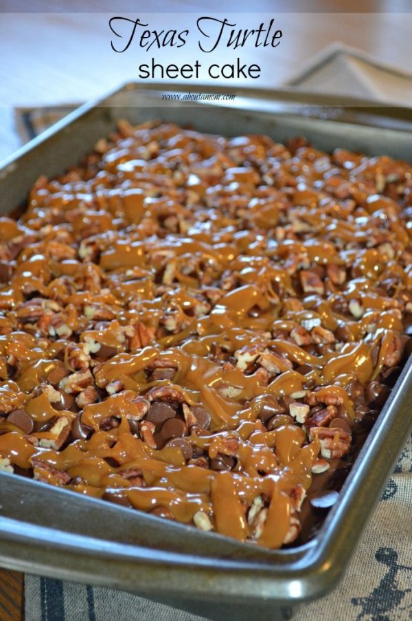 Texas Turtle Sheet Cake