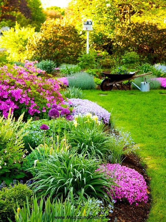 lawn,garden,plant,yard,botany,